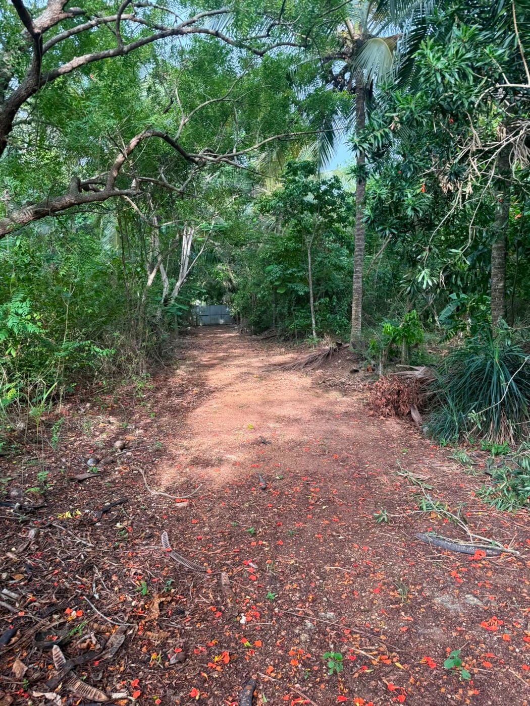 Terreno en venta en La Ureña – foto 2