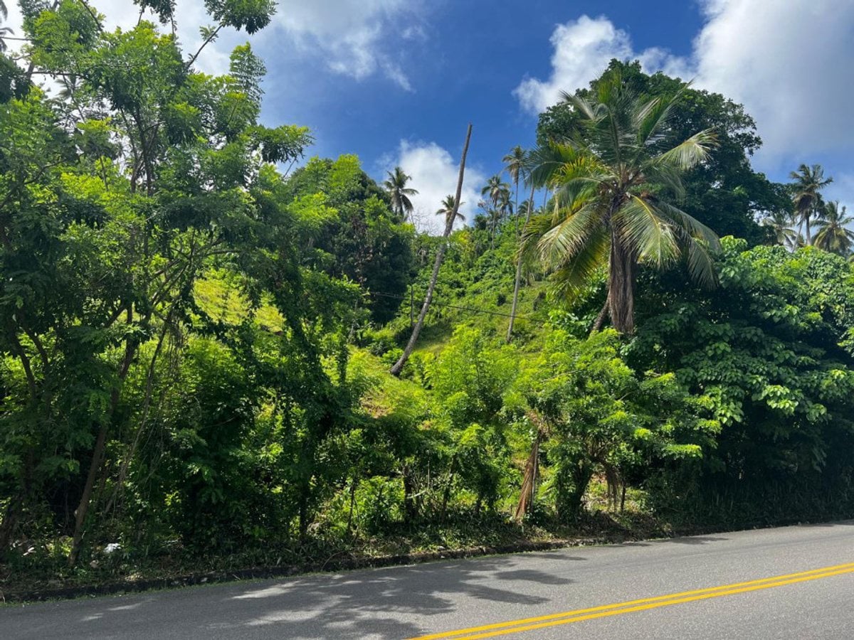 Terreno en Samaná, Sector Honduras – foto 3