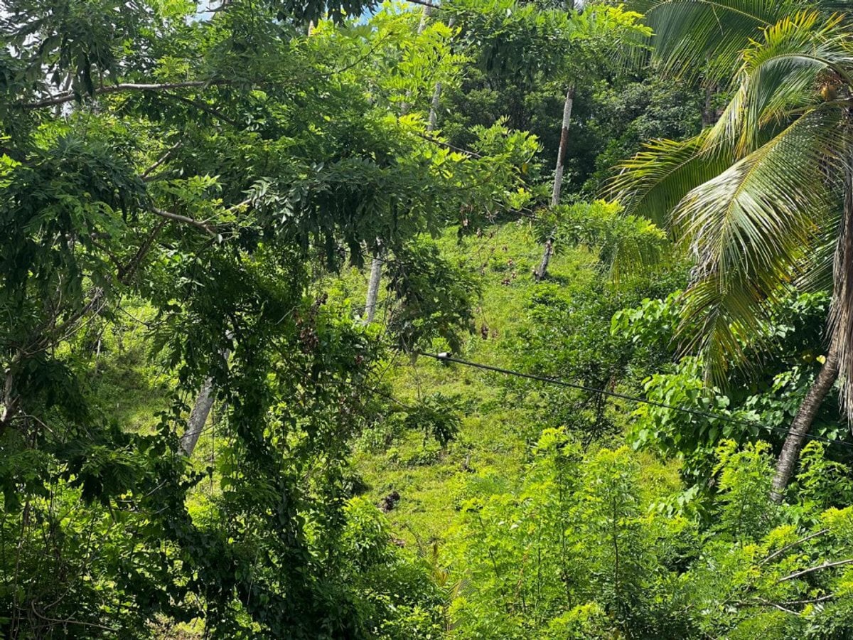 Terreno en Samaná, Sector Honduras – foto 6