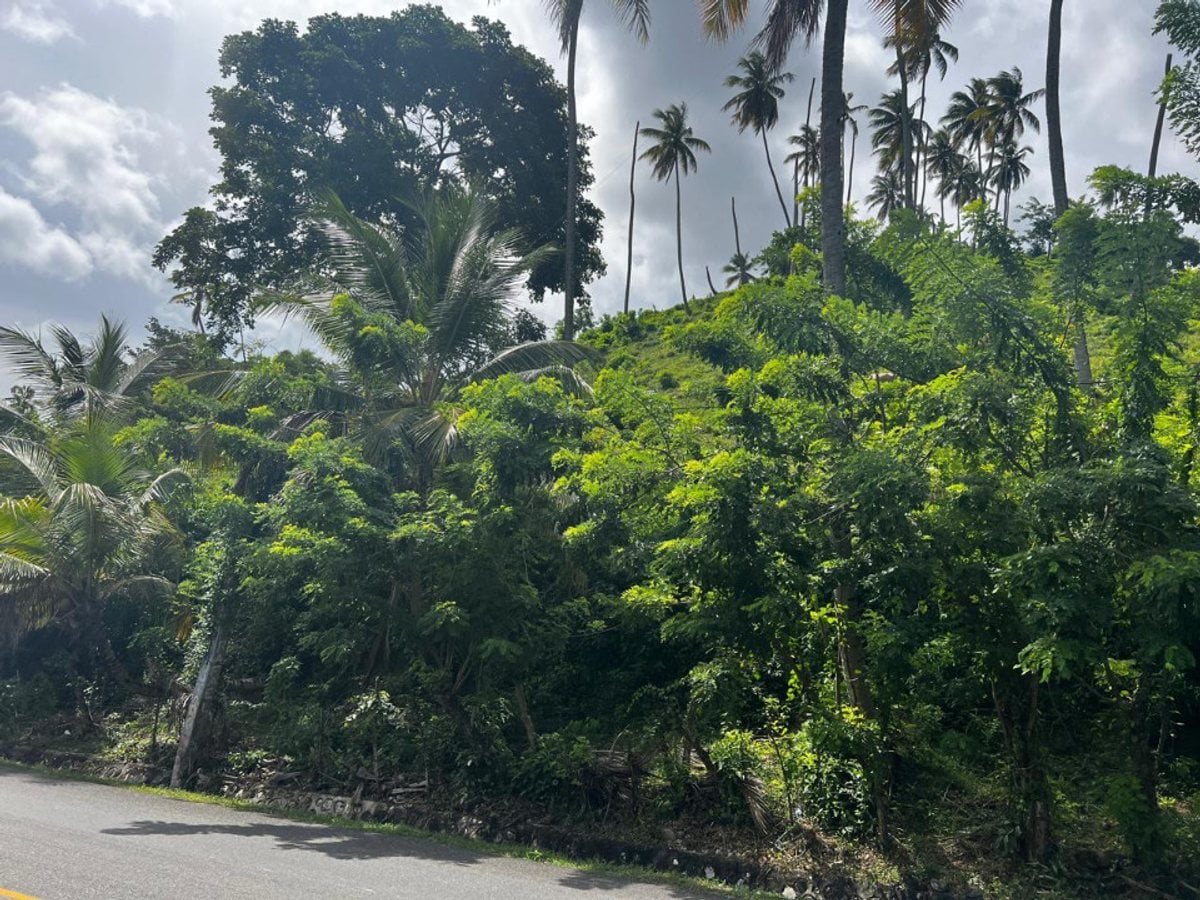 Terreno en Samaná, Sector Honduras – foto 5
