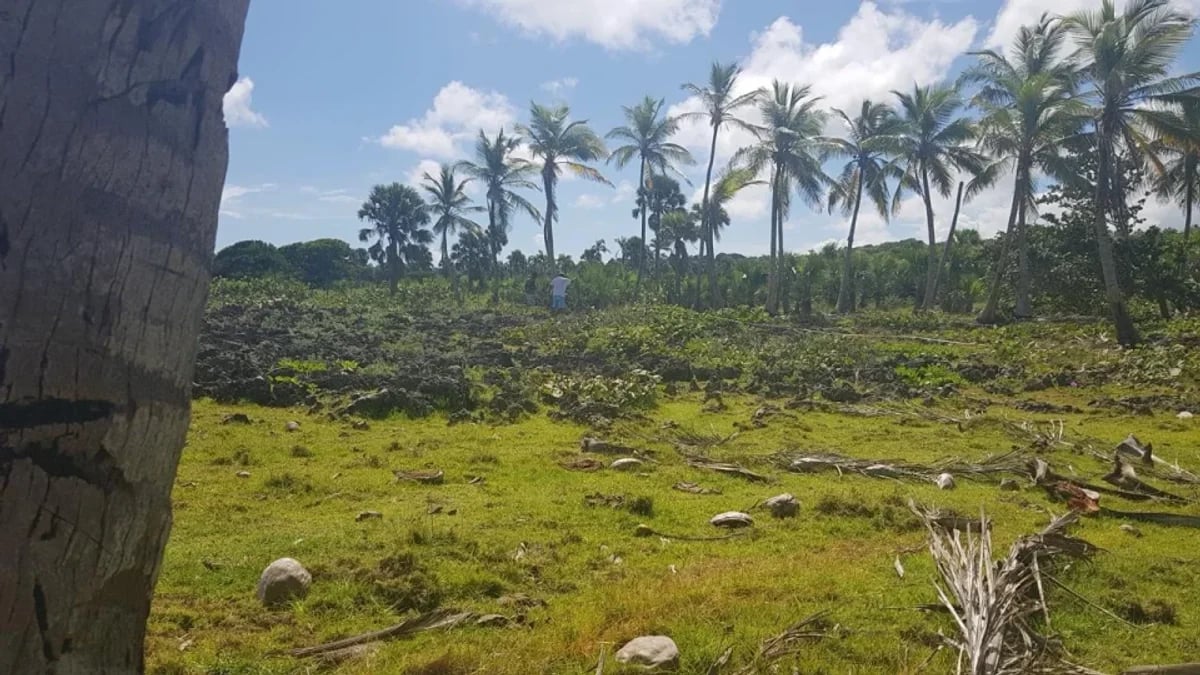 Terreno Frente al Mar en Cabrera, El Tetén – foto 3