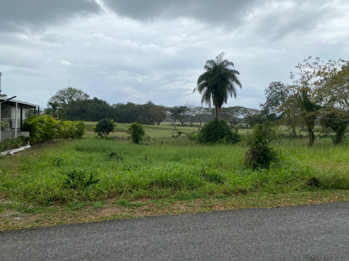 Terreno exclusivo vista privilegiada.Guavaberry – foto 3