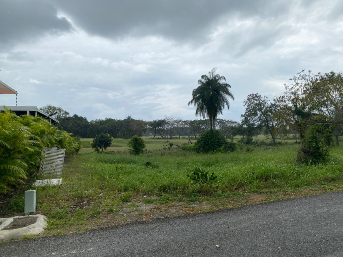 Terreno exclusivo vista privilegiada.Guavaberry – foto 6