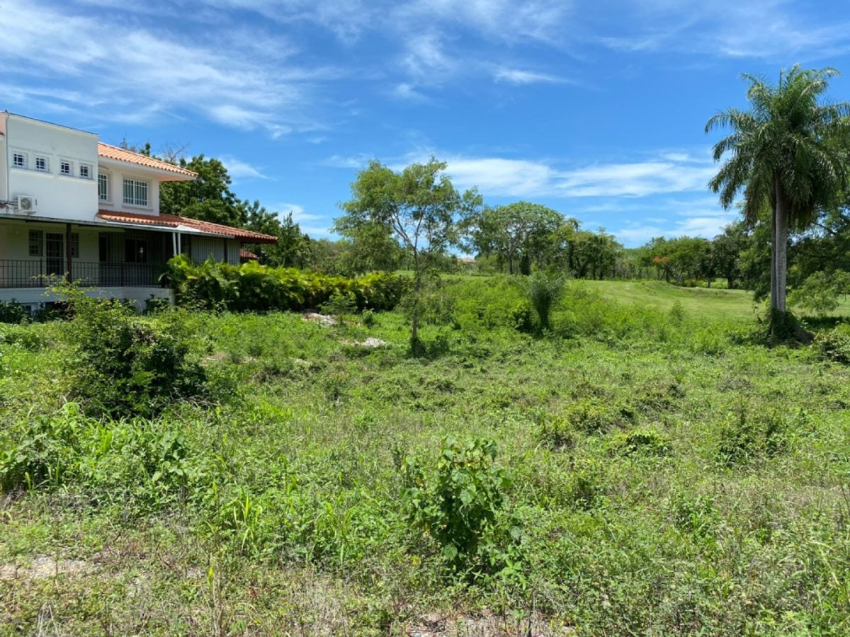 Terreno exclusivo vista privilegiada.Guavaberry – foto 5