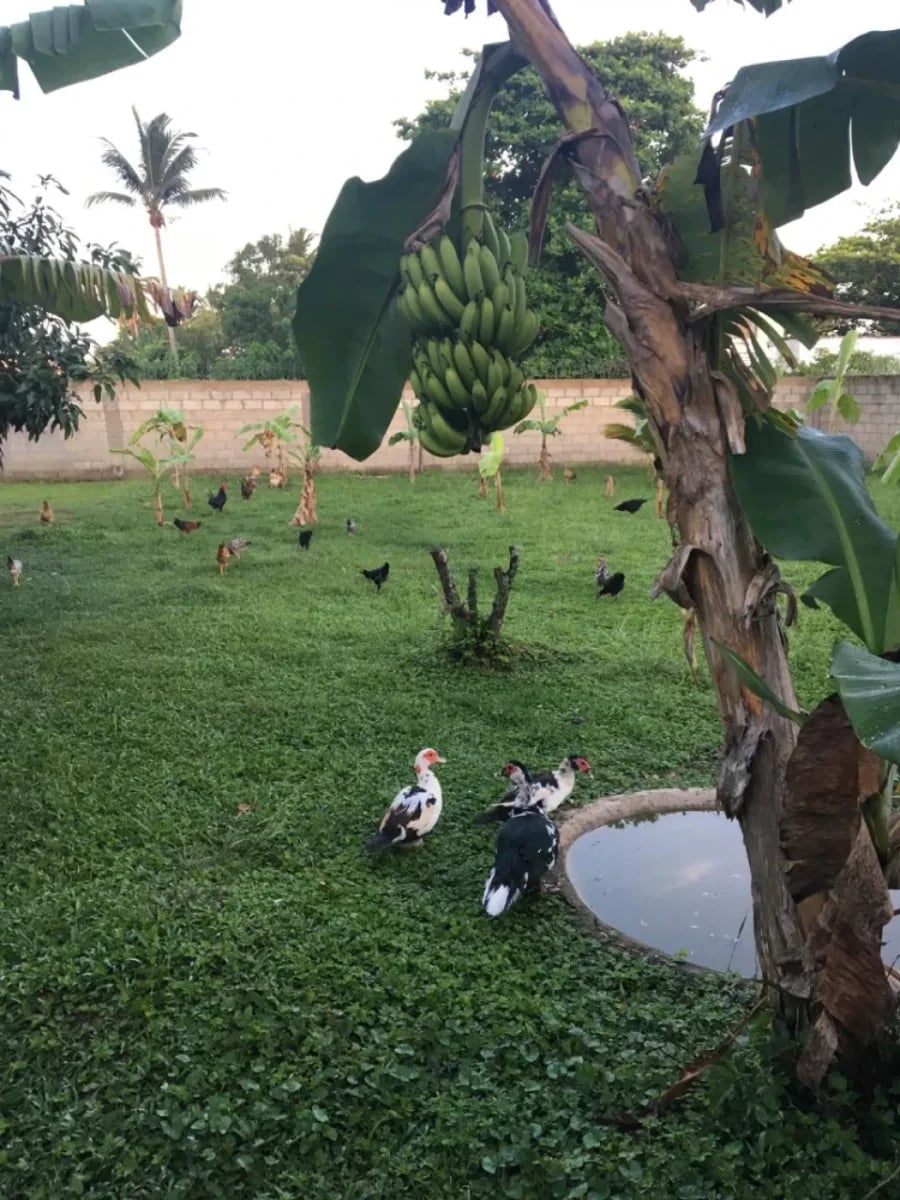 Amplia y cómoda casa en venta en Sabana de la Mar – foto 3