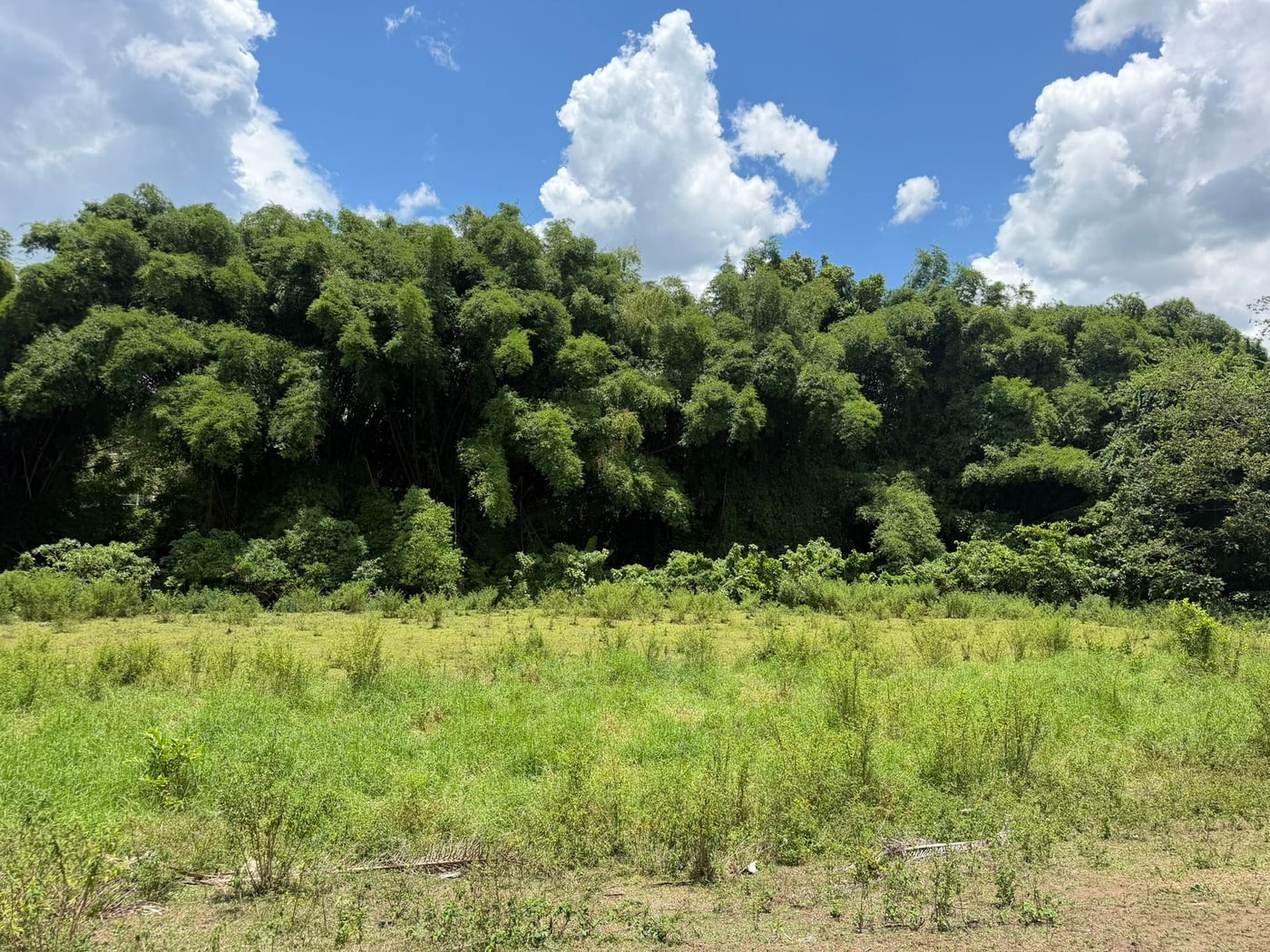 Terreno en venta en Rancho Arriba – foto 5