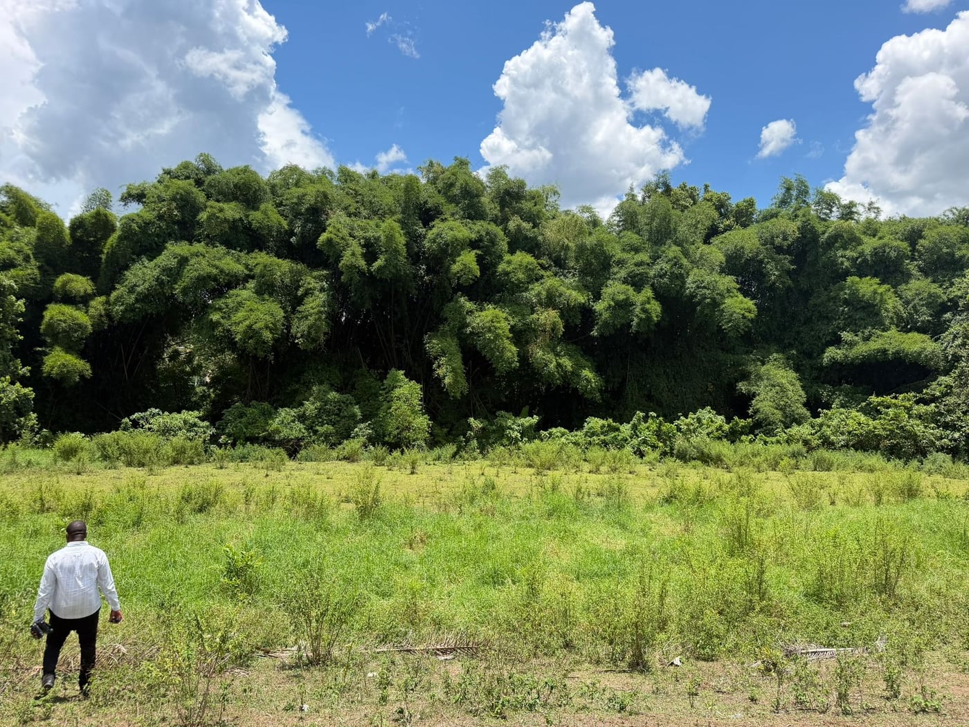 Terreno en venta en Rancho Arriba – foto 6
