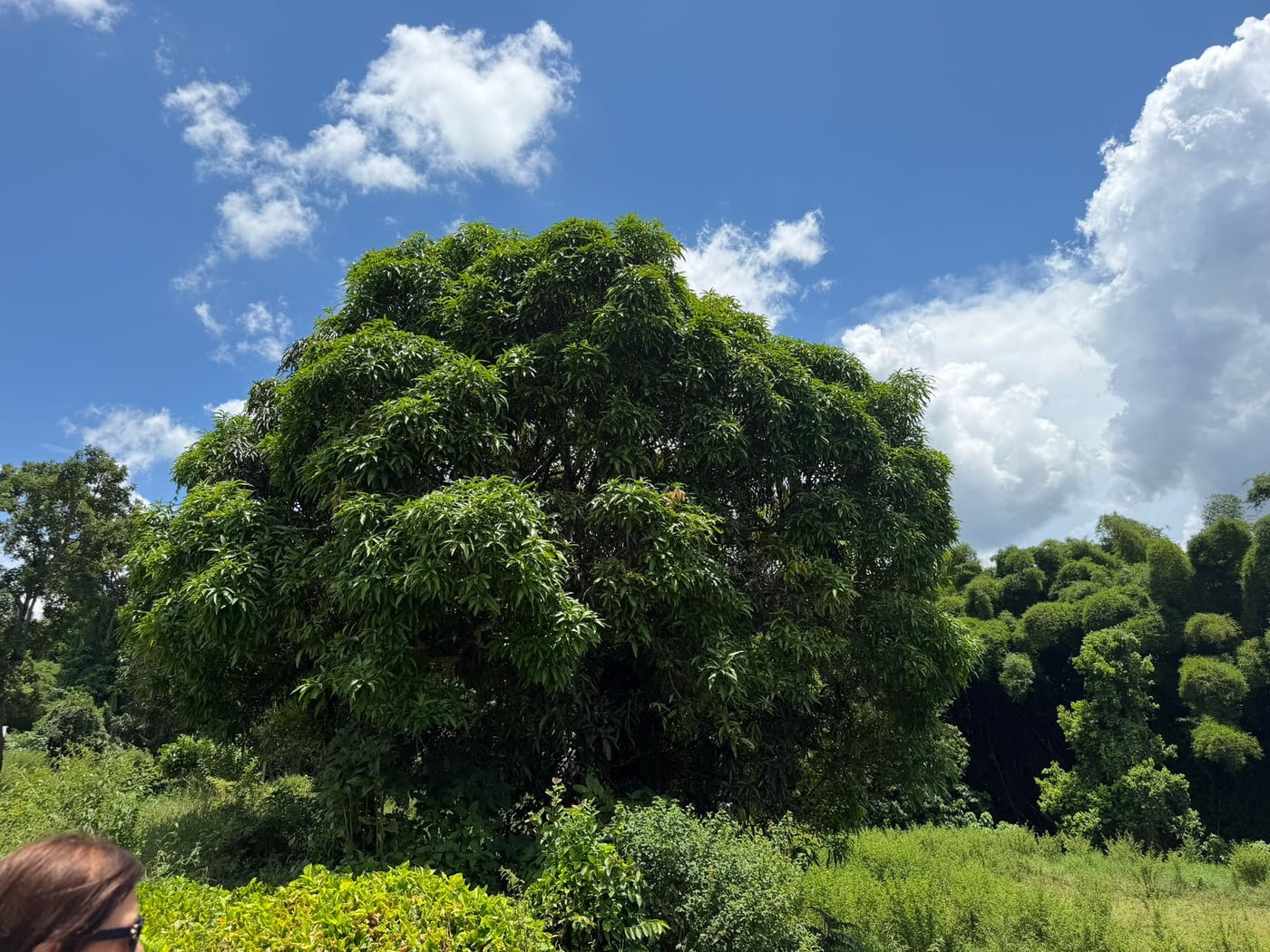 Terreno en venta en Rancho Arriba – foto 4