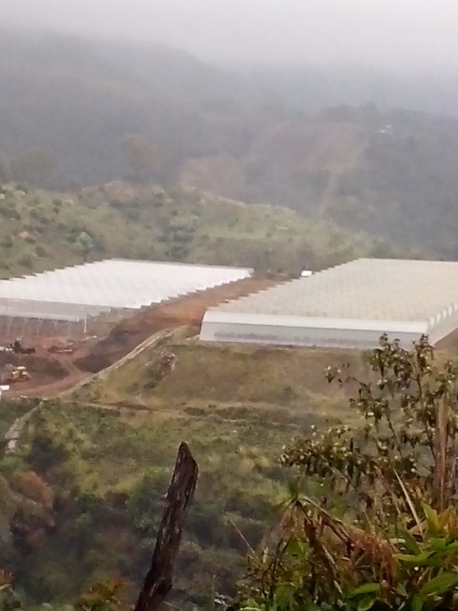 Terreno en LAS AVISPAS, San José de Ocoa – foto 2