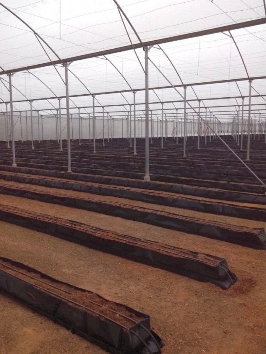 Terreno en LAS AVISPAS, San José de Ocoa – foto 4