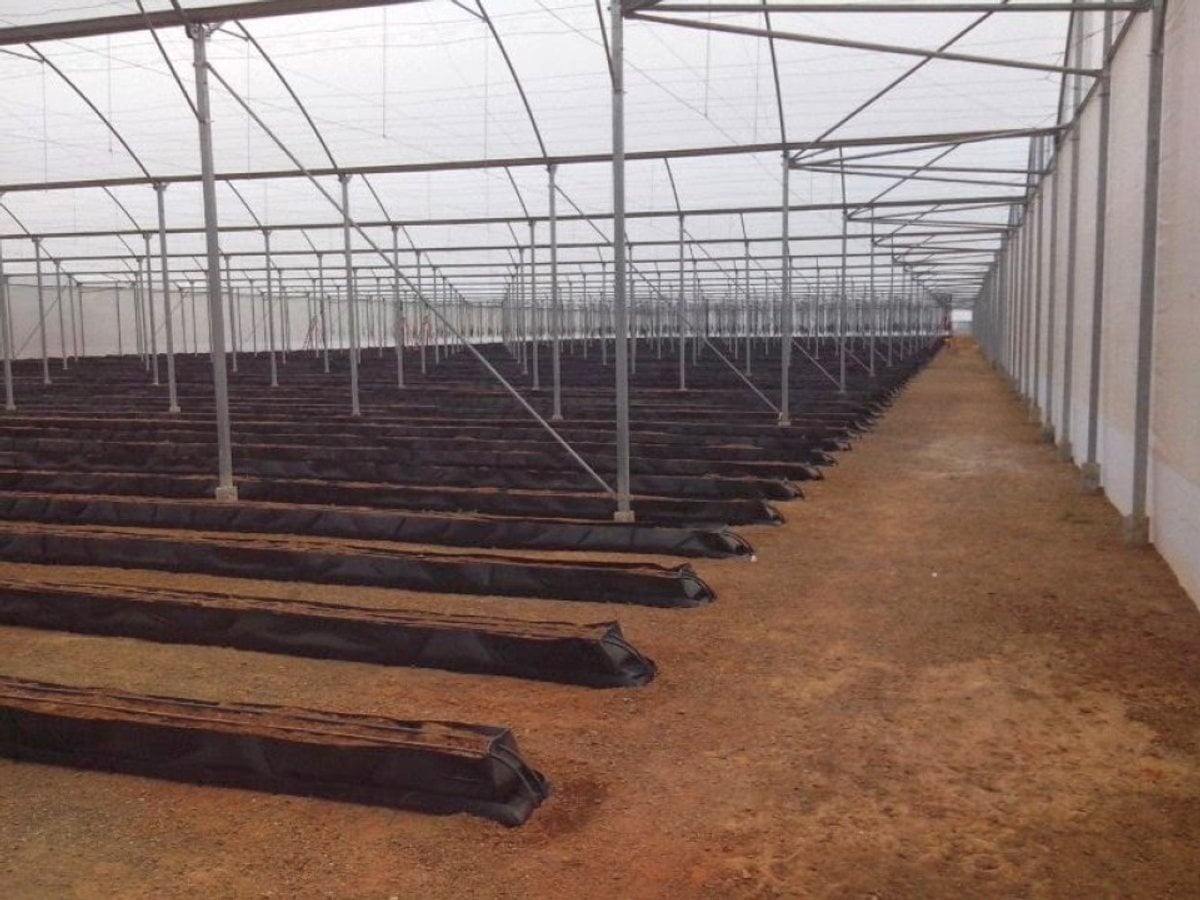 Terreno en LAS AVISPAS, San José de Ocoa – foto 3