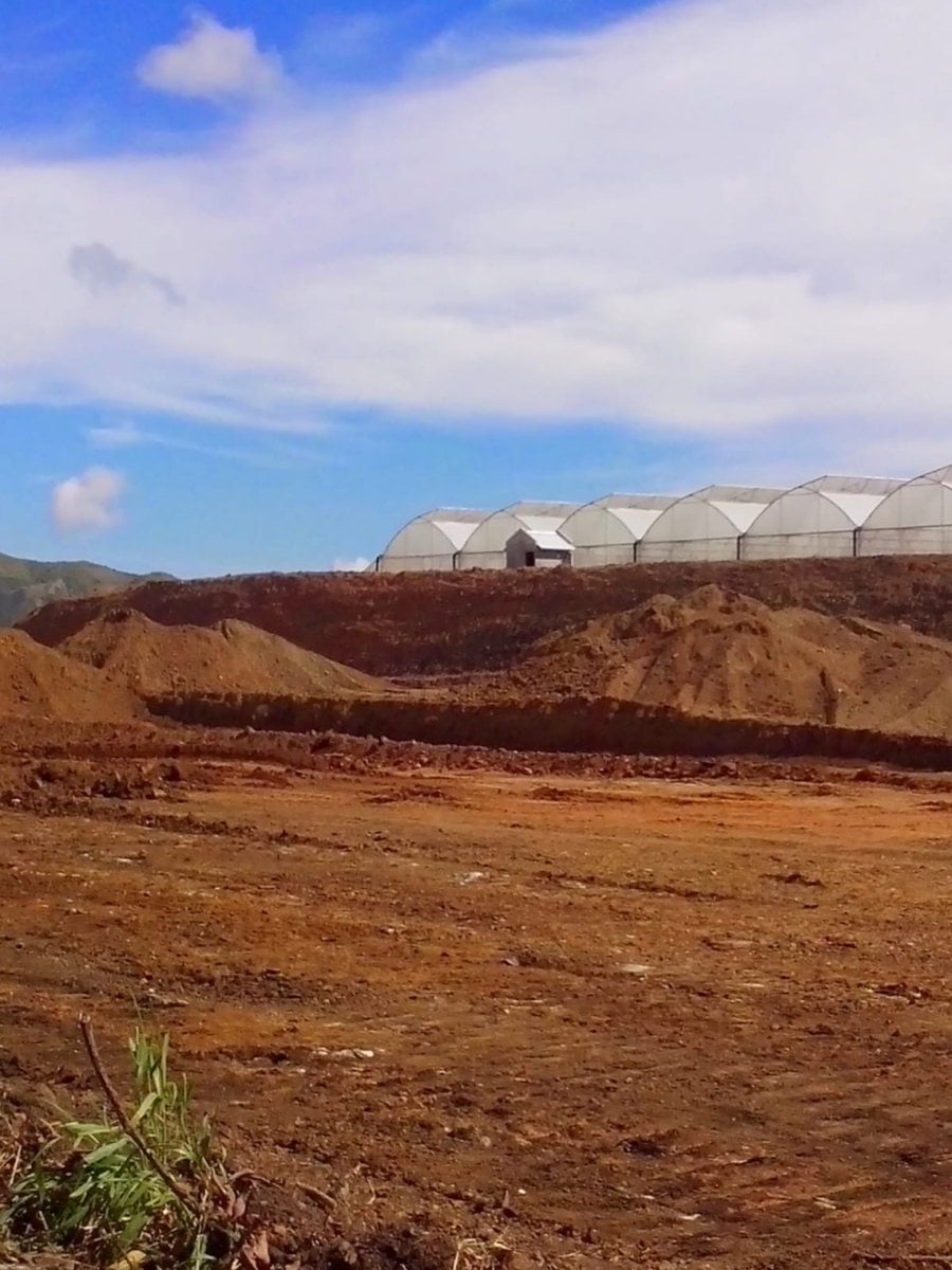Terreno en LAS AVISPAS, San José de Ocoa – foto 6