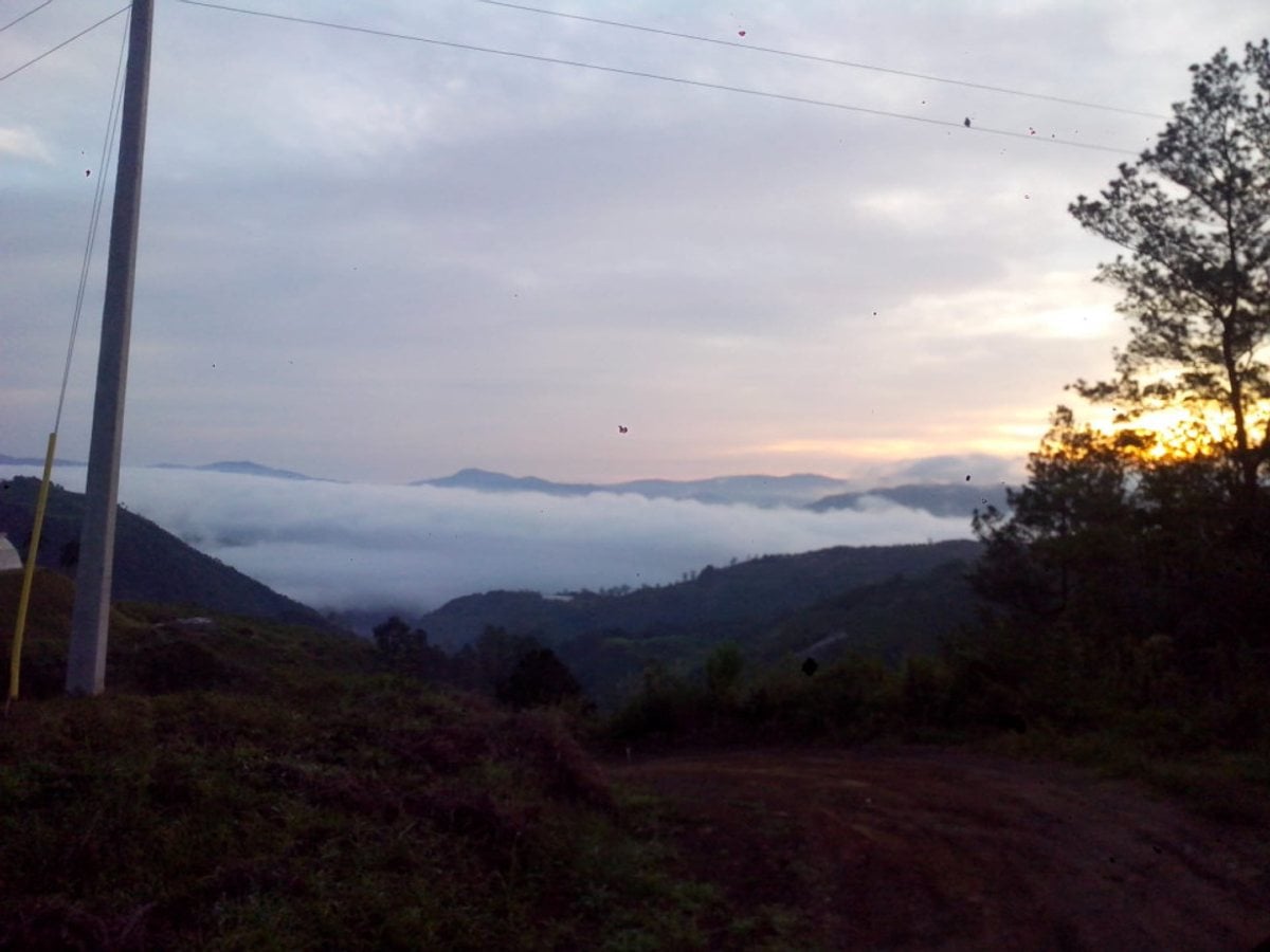 Terreno en LAS AVISPAS, San José de Ocoa – foto 12