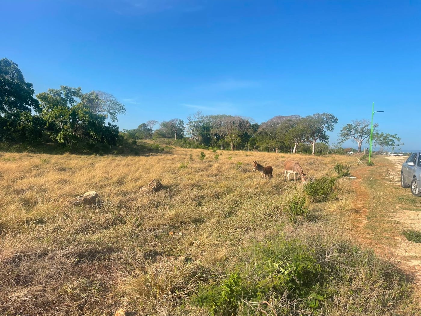 Terreno de 1,494.74 m2 en Lomas Mironas, Sosúa – foto 6
