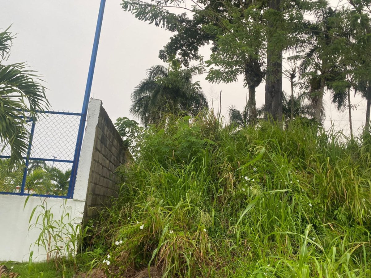 Terreno en Gaspar Hernández, La Cantera – foto 2