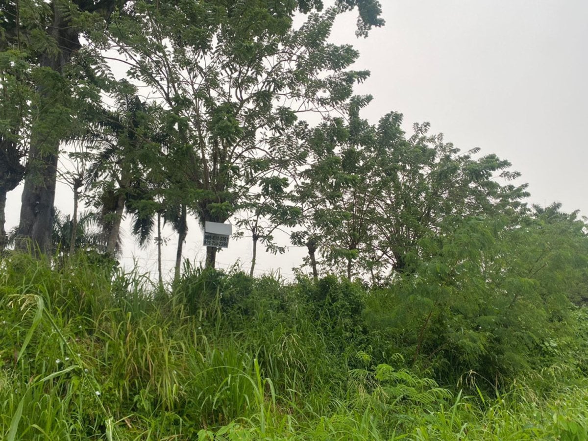 Terreno en Gaspar Hernández, La Cantera – foto 4