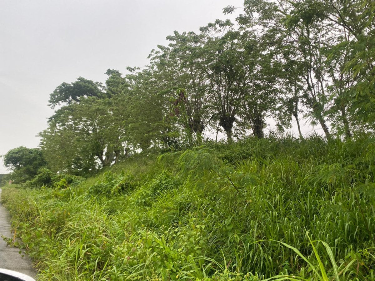 Terreno en Gaspar Hernández, La Cantera – foto 1