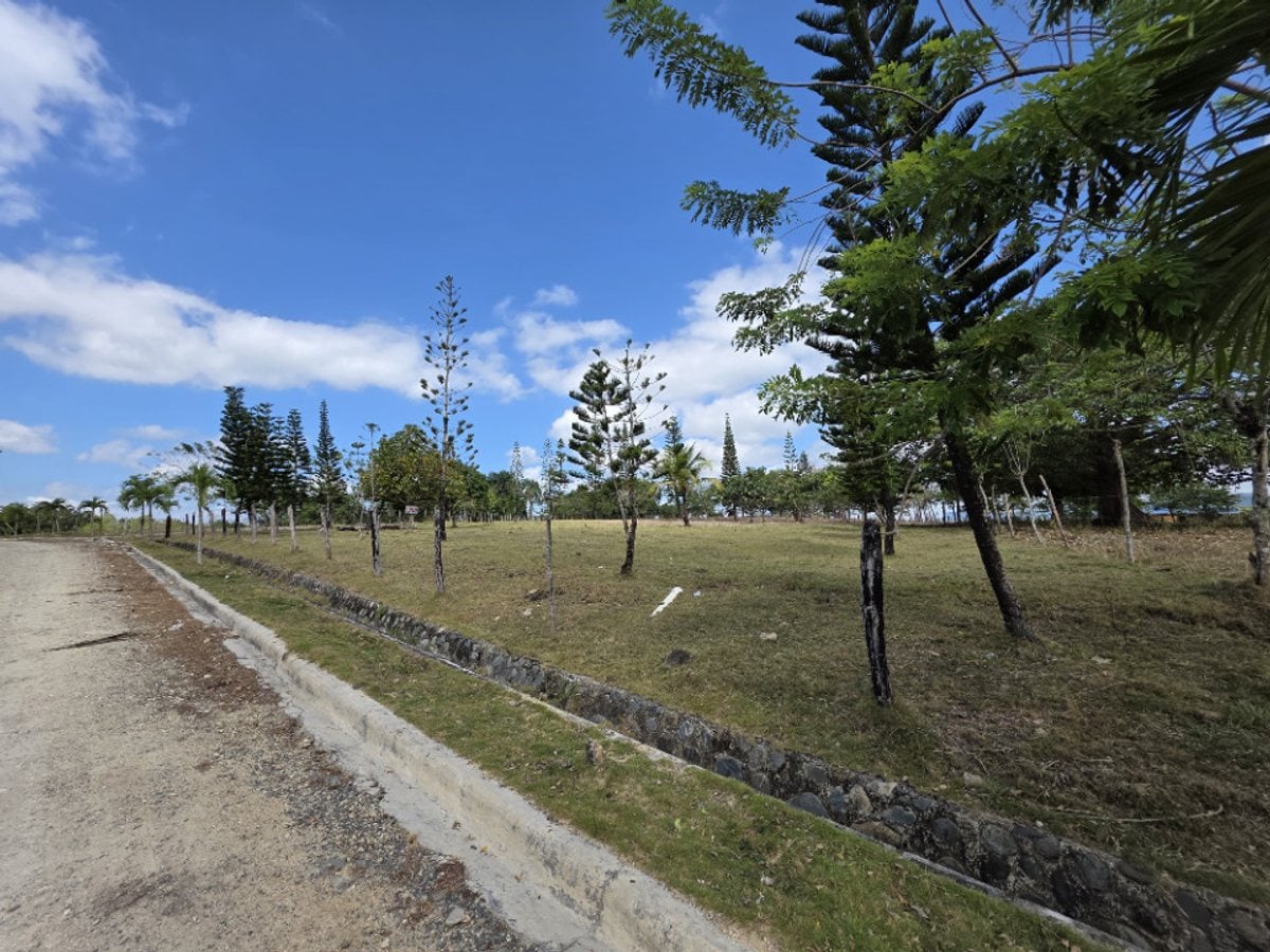Terreno en Pedro Brand, El Pedregal – foto 5
