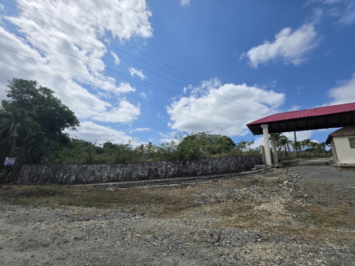 Terreno en Pedro Brand, El Pedregal – foto 2