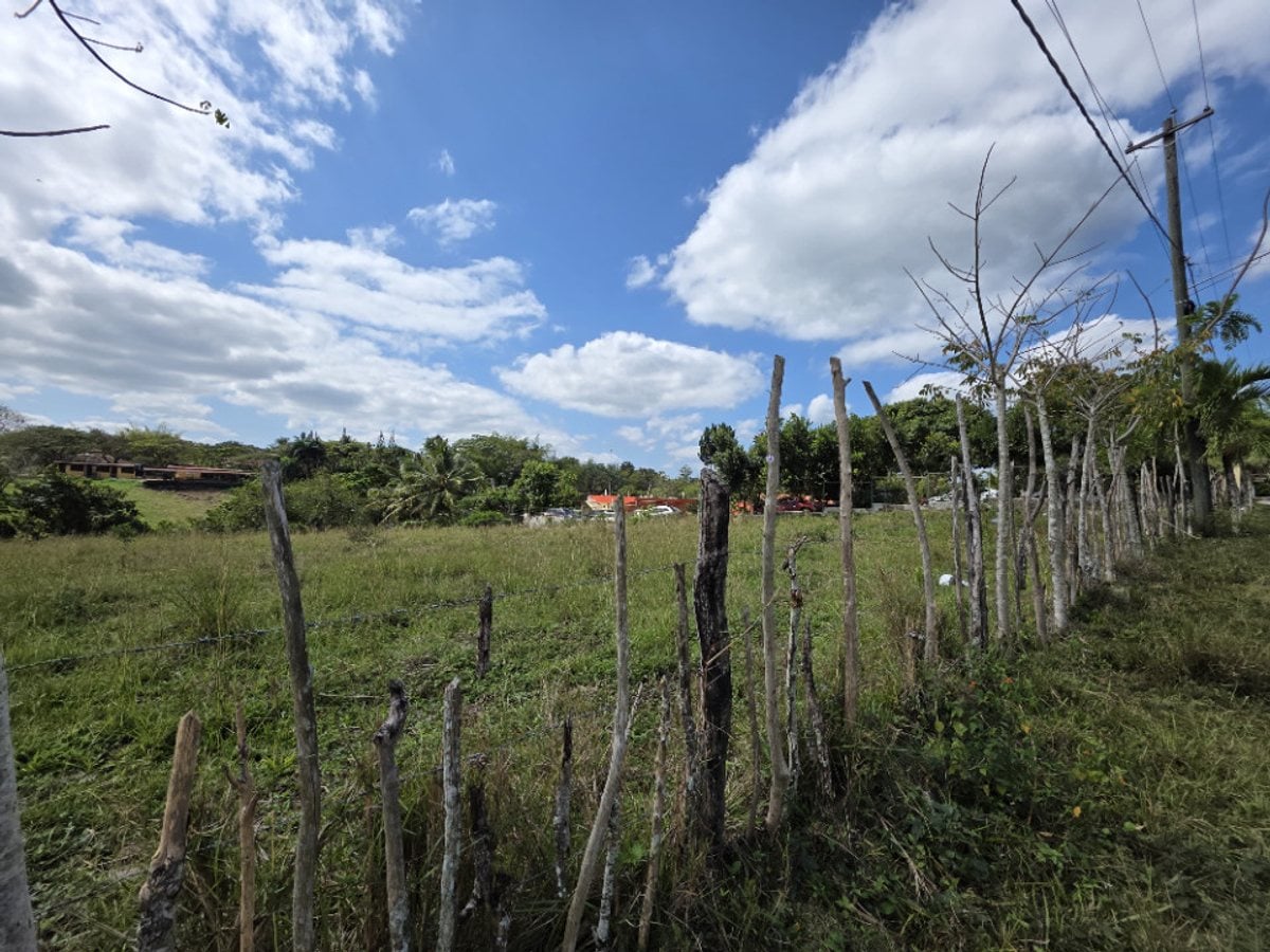 Terreno en Pedro Brand, El Pedregal – foto 4