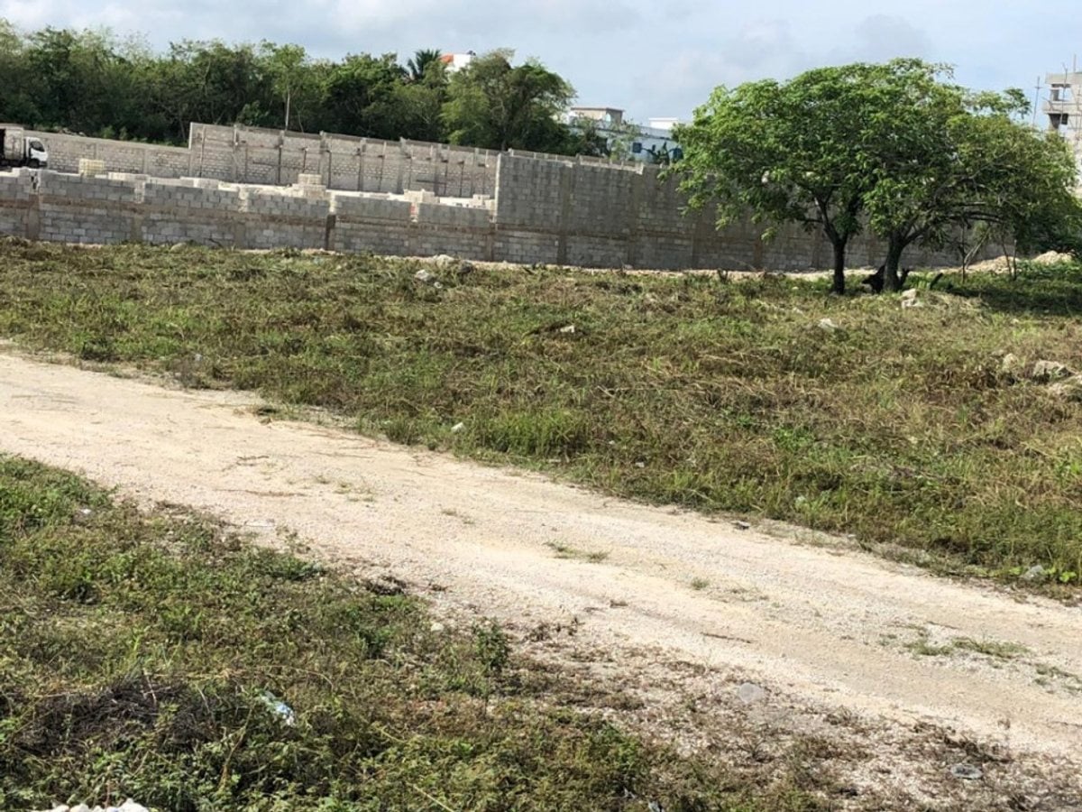 Terreno en Punta Cana, Bávaro, 4501 m² – foto 2