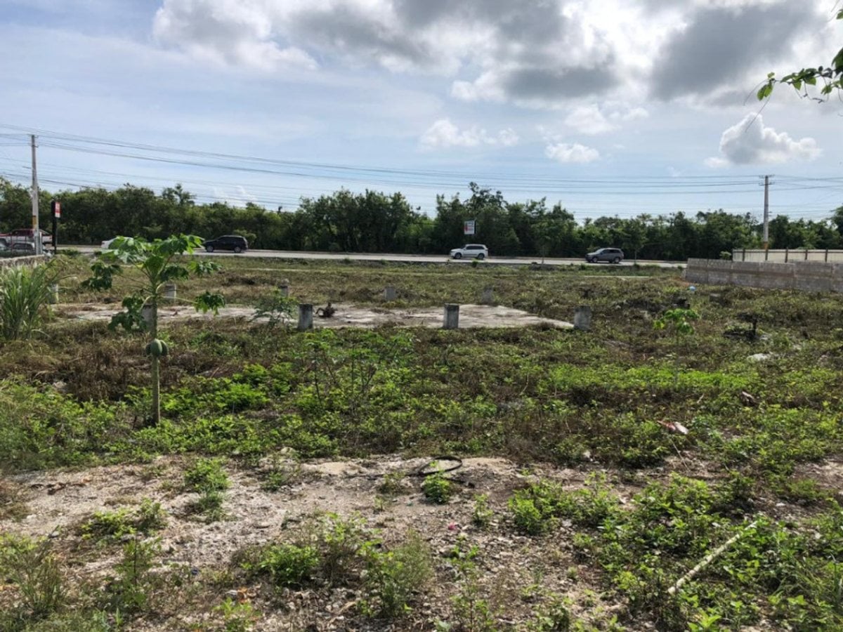 Terreno en Punta Cana, Bávaro, 4501 m² – foto 4