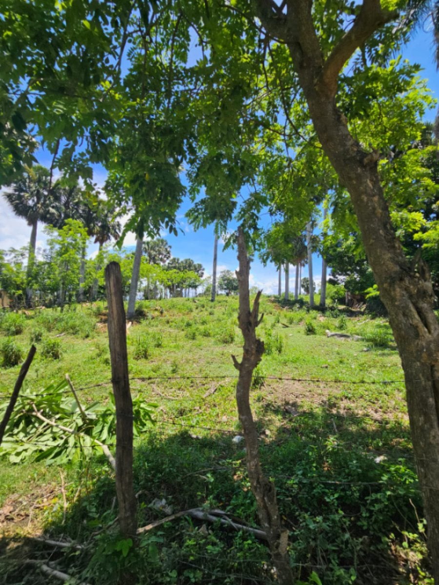 Terreno para uso de agricultura o casa vacacional – foto 2