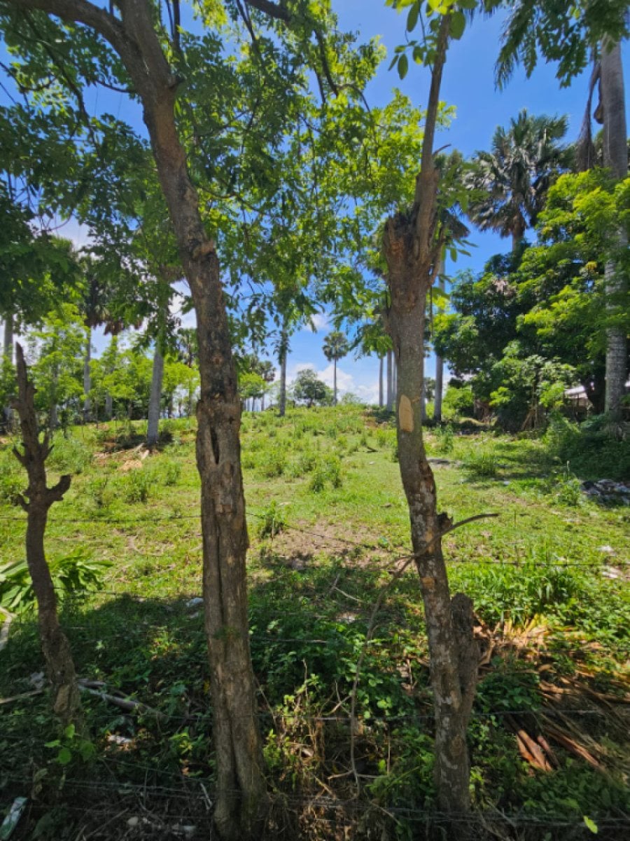Terreno para uso de agricultura o casa vacacional – foto 1