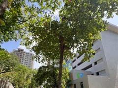 Apartamento en venta, Ensanche Independencia – foto 7