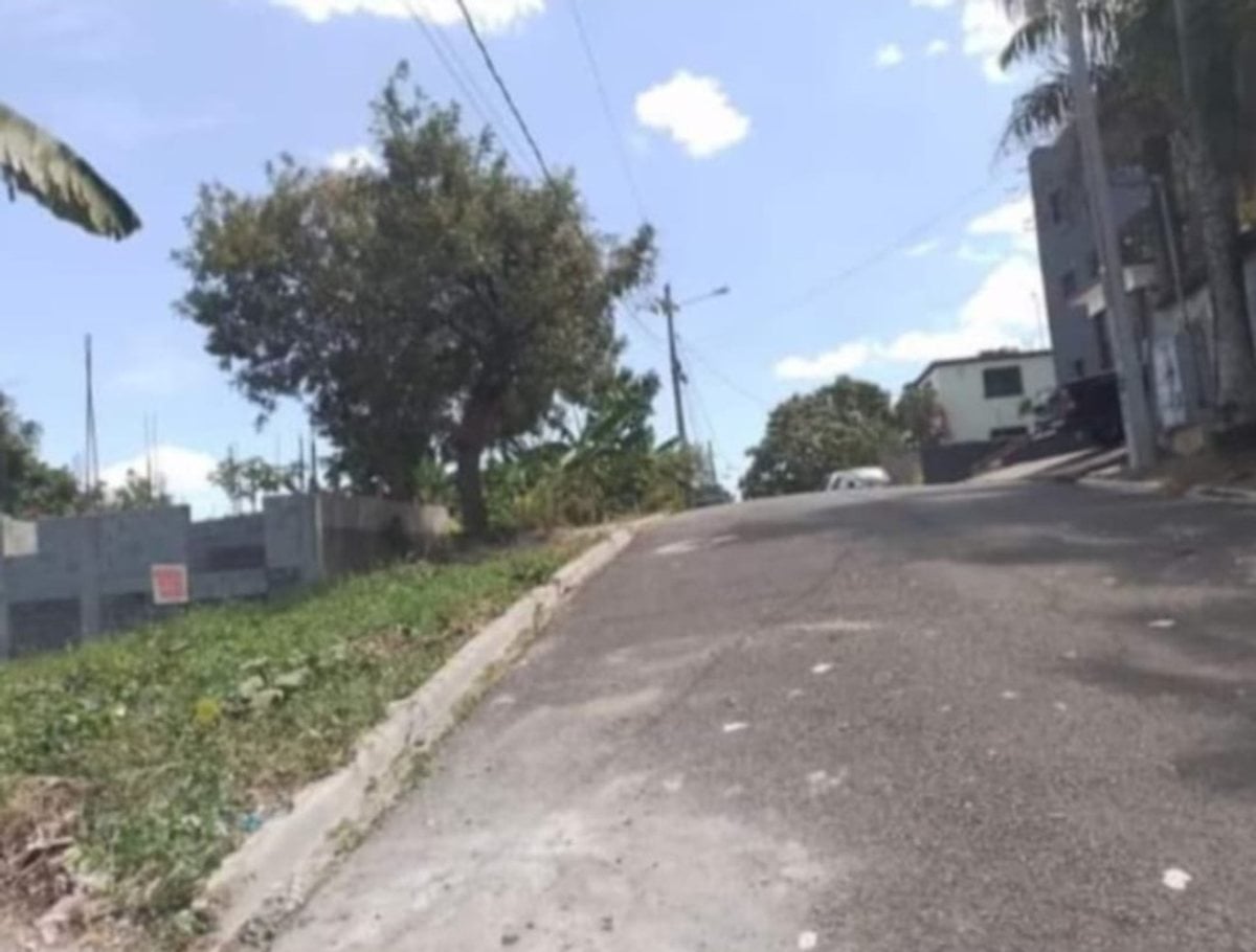 Terreno en Los Alcarrizos, Santo Domingo Oeste – foto 3