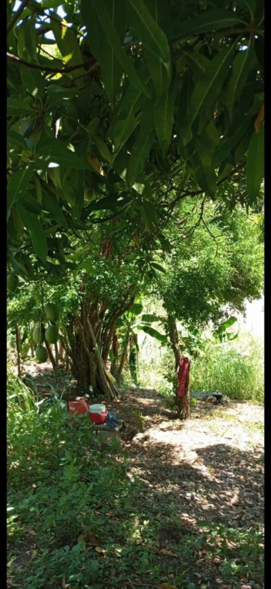 Terreno en Los Alcarrizos, Santo Domingo Oeste – foto 6