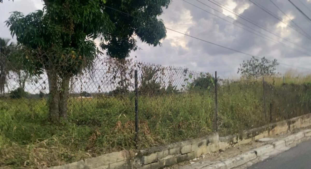 Terreno en Santo Domingo Norte, Sol de Luz – foto 2