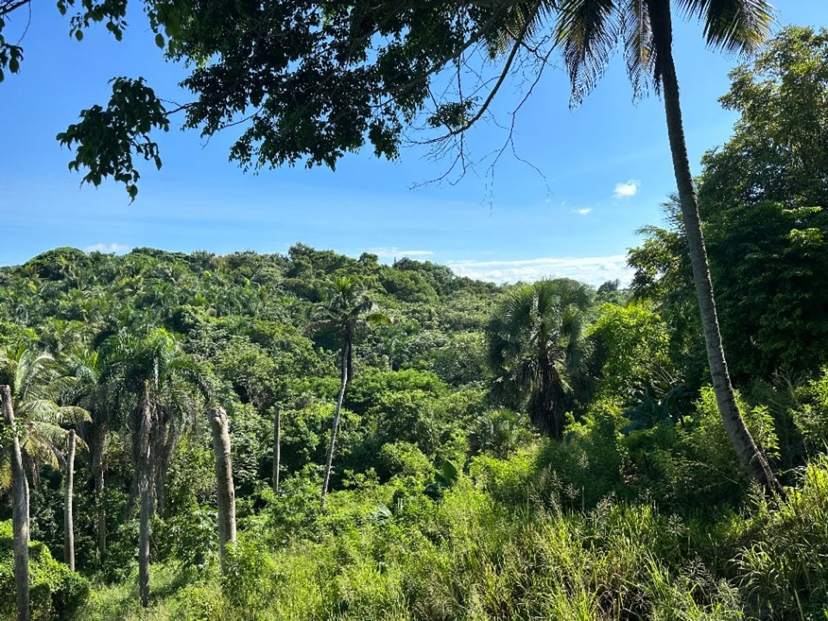 Terreno en San Cristóbal, Hatillo - 22840 m² – foto 3