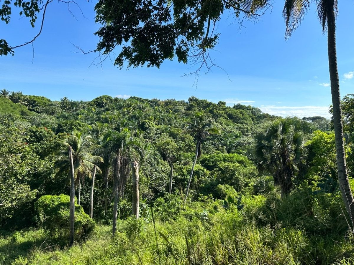 Terreno en San Cristóbal, Hatillo - 22840 m² – foto 2