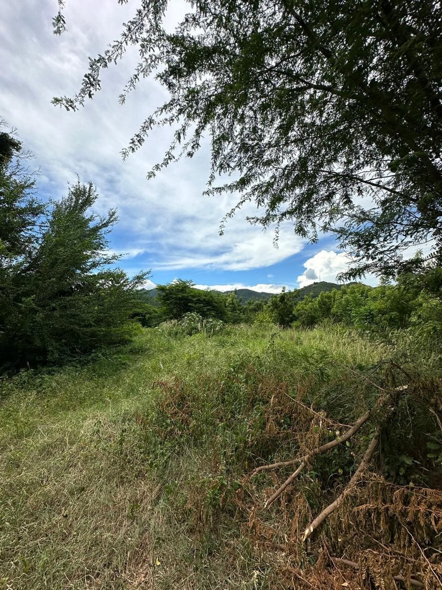 Terreno en venta en BANÍ, sector LA MONTERÍA – foto 3