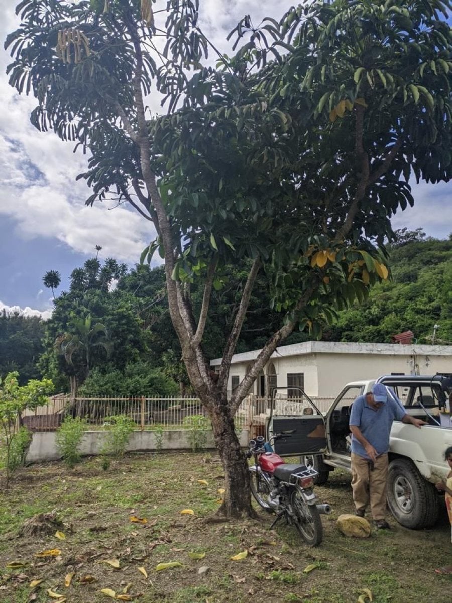 Terreno en venta en BANÍ, sector LA MONTERÍA – foto 6