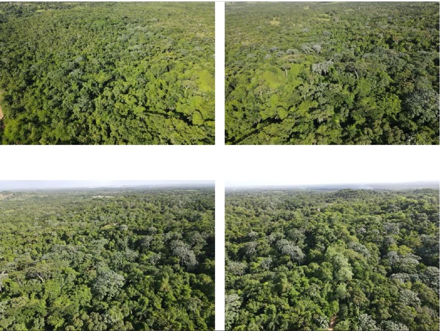 TERRENO EN EL HIGÜERO – foto 9
