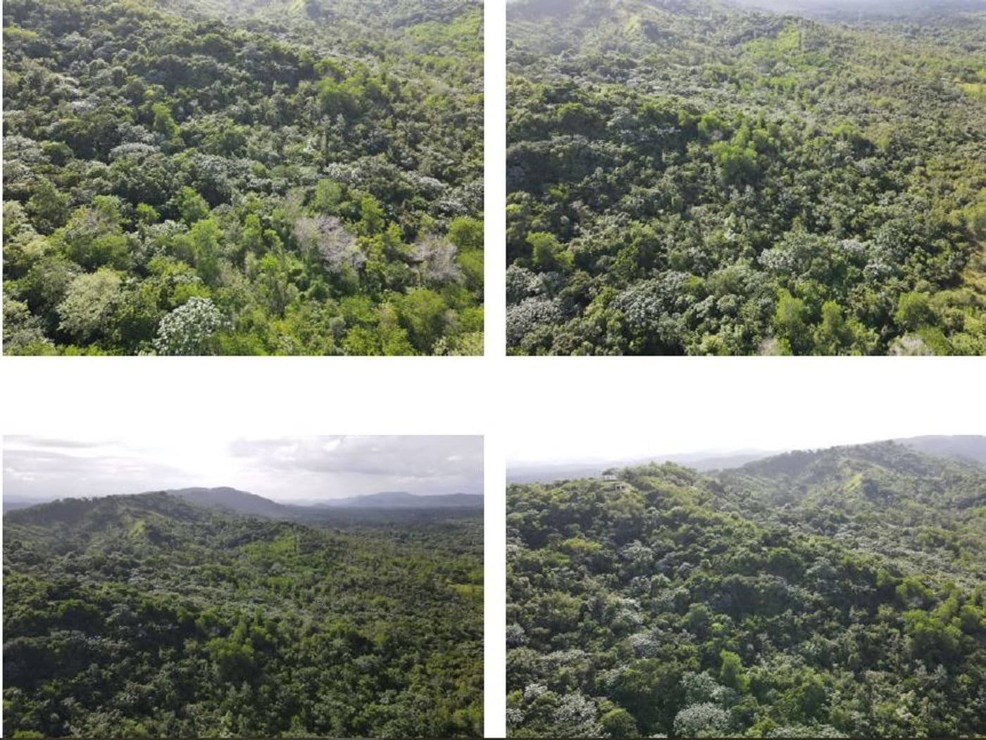 TERRENO EN EL HIGÜERO – foto 8