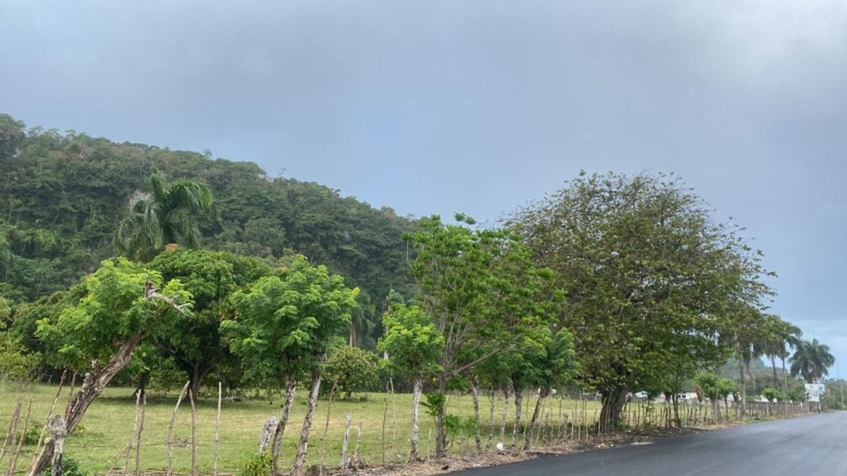 Terreno en Cabrera, Sector Abreu – foto 4