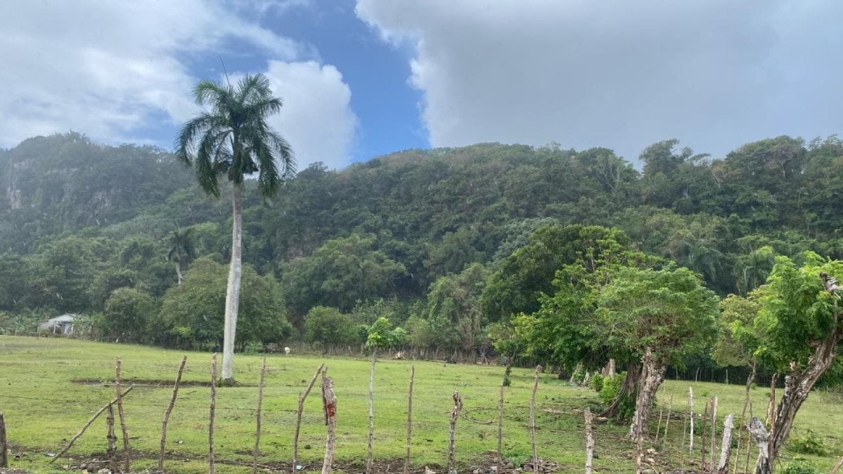 Terreno en Cabrera, Sector Abreu – foto 3