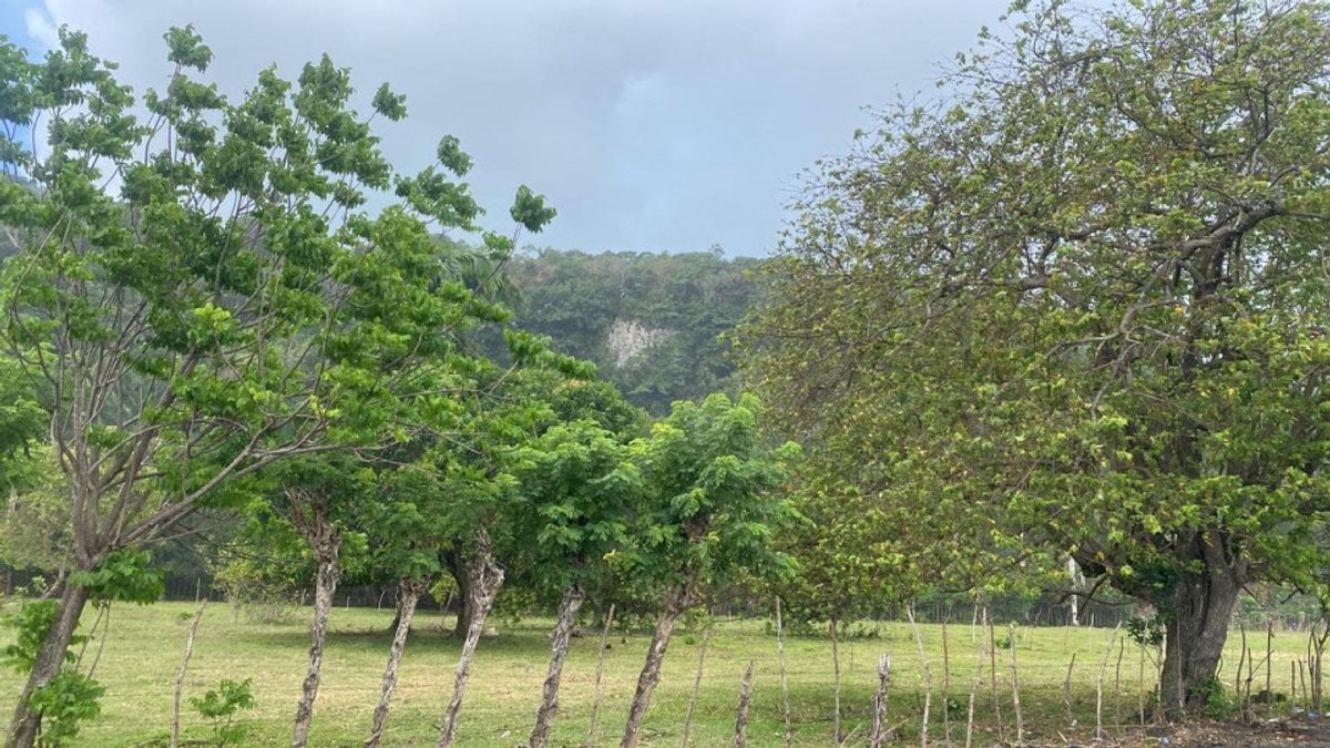 Terreno en Cabrera, Sector Abreu – foto 1