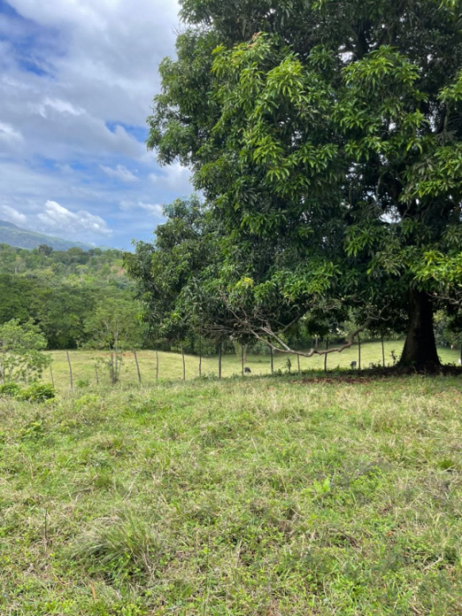 Terreno En Jobobán, Bonao – foto 2
