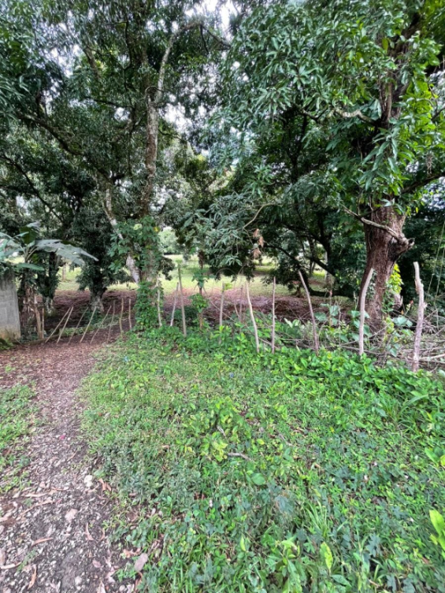Terreno En Jobobán, Bonao – foto 3