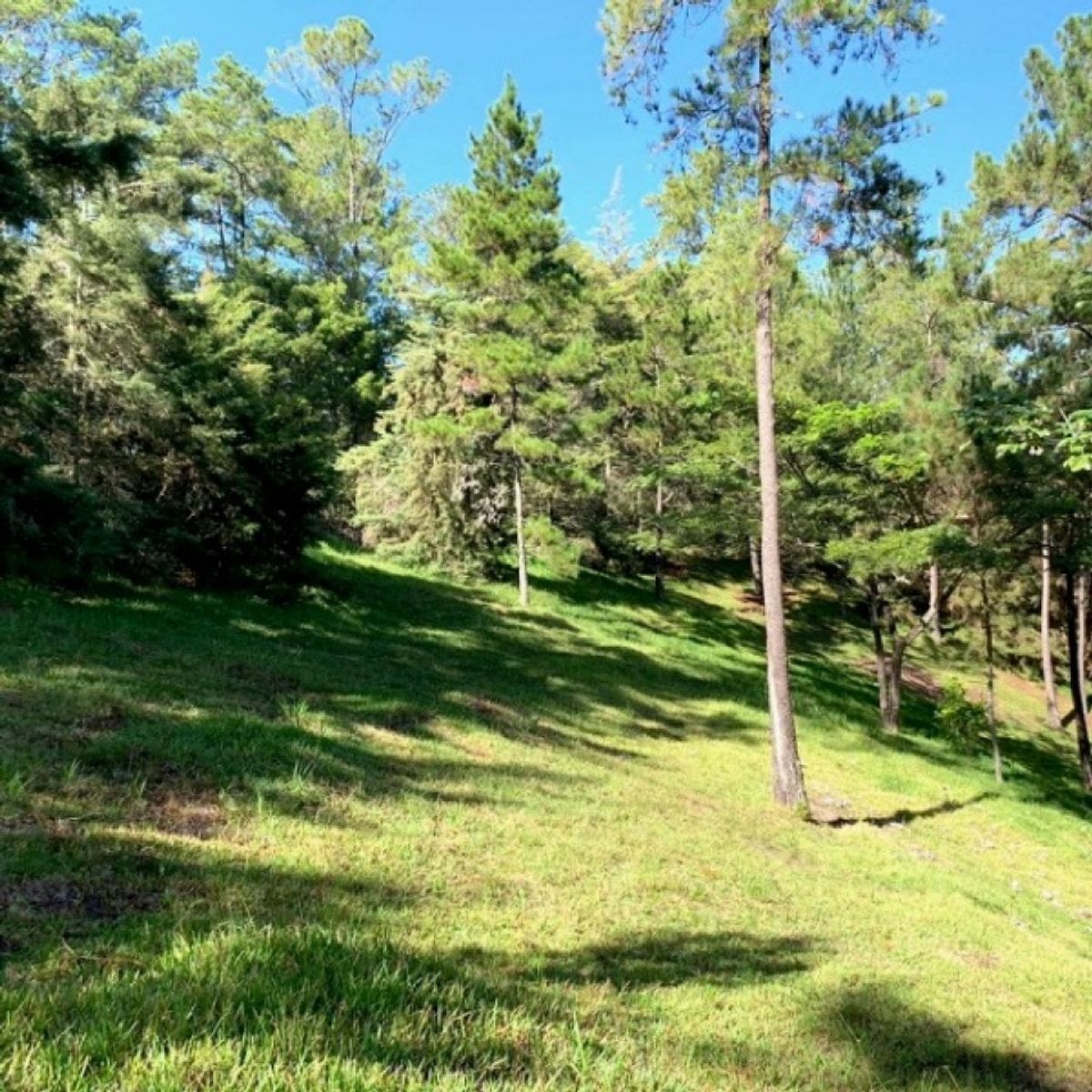 Terreno En Jarabacoa, Jarabacoa – foto 2