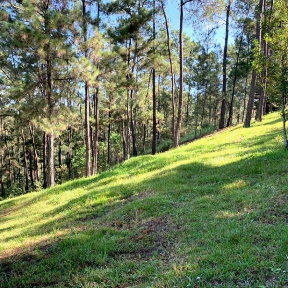 Terreno En Jarabacoa, Jarabacoa – foto 6