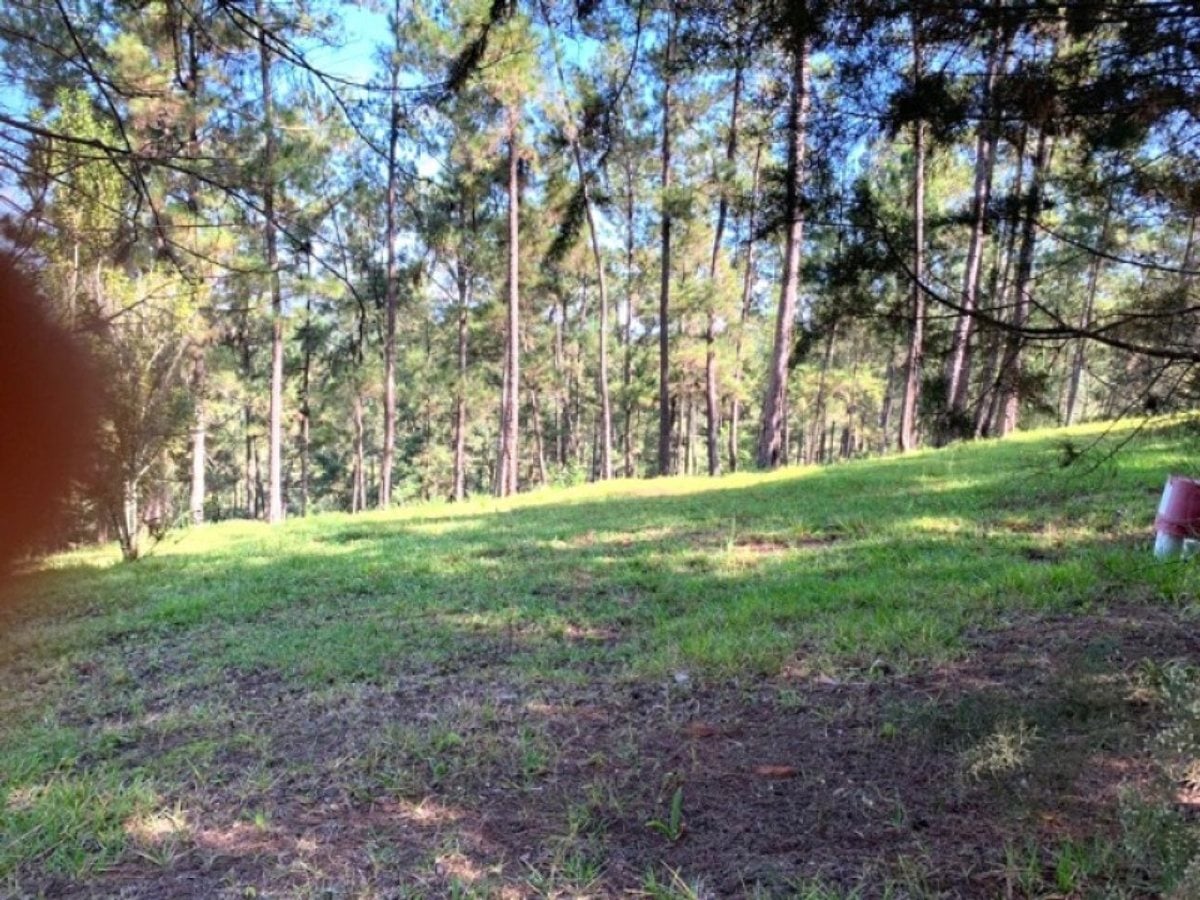 Terreno En Jarabacoa, Jarabacoa – foto 4