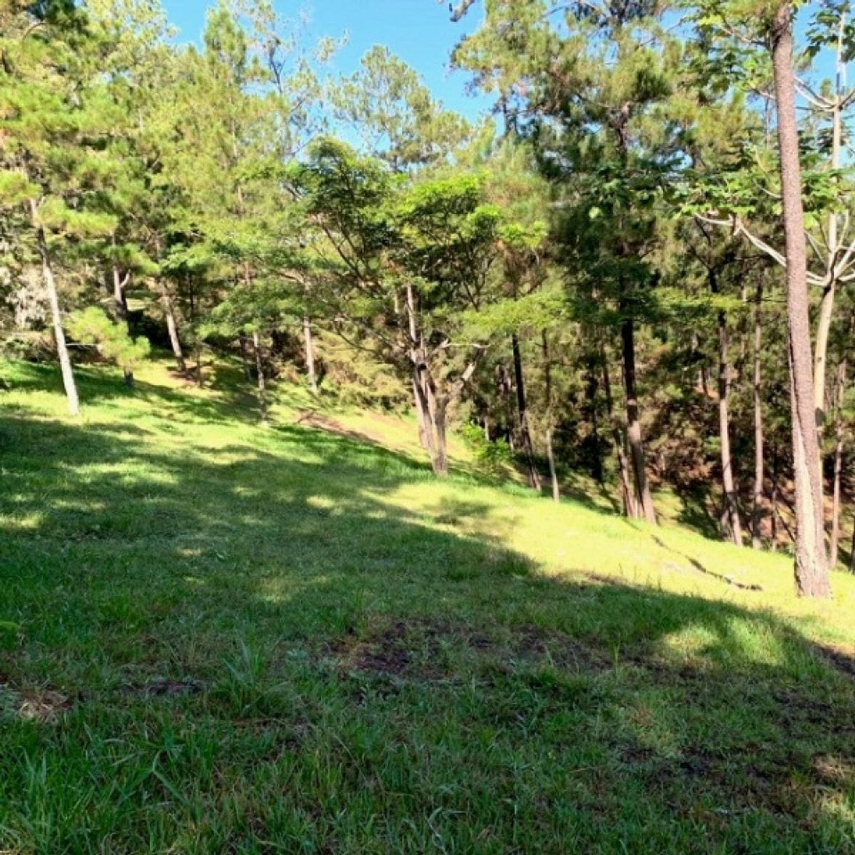 Terreno En Jarabacoa, Jarabacoa – foto 5