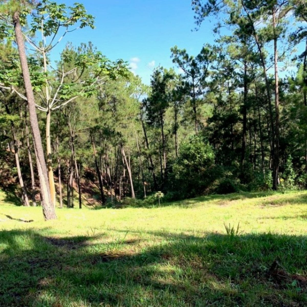 Terreno En Jarabacoa, Jarabacoa – foto 7