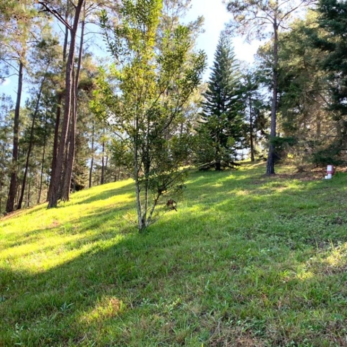 Terreno En Jarabacoa, Jarabacoa – foto 1