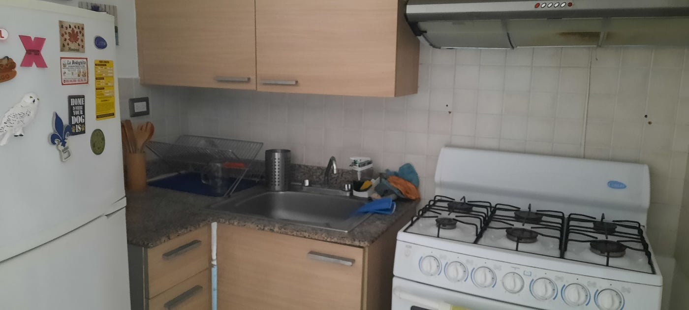 APARTAMENTO EN ALQUILER 1 DORMITORIO PIANTINI – foto 8